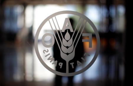 شعار منظمة الأغذية والزراعة للأمم المتحدة (فاو) بمقرها في روما - أرشيف رويترز