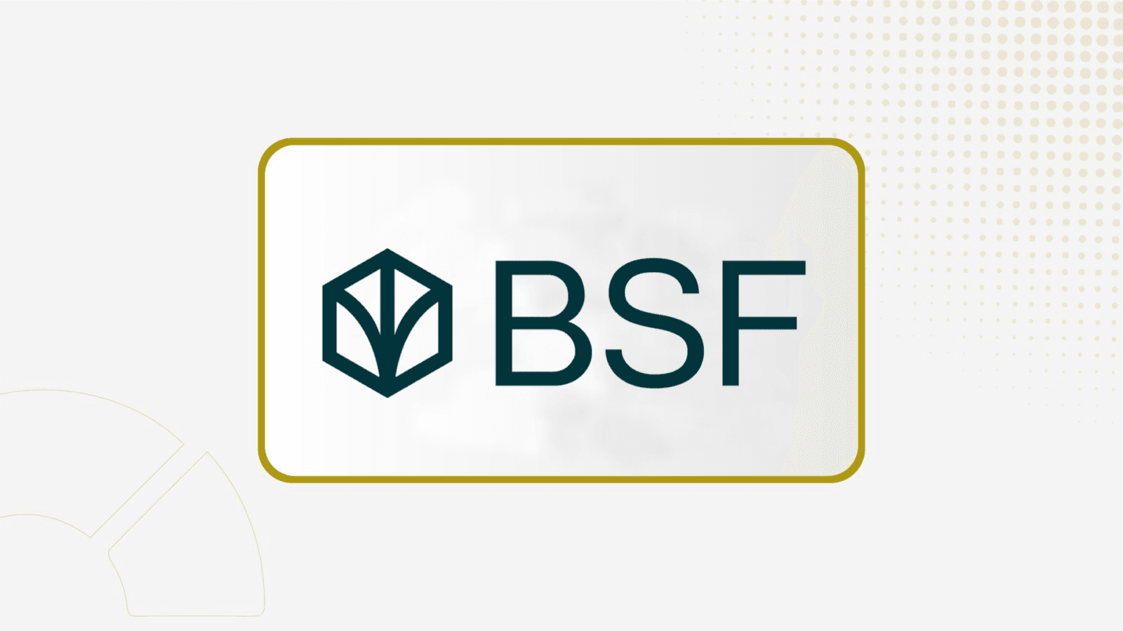 BSF to Discuss Second-Quarter Financial Results with Shareholders on Monday
