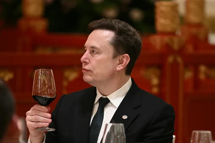 Elon Musk loses his trillionaire status as SpaceX stock plummets and billionaires suffer