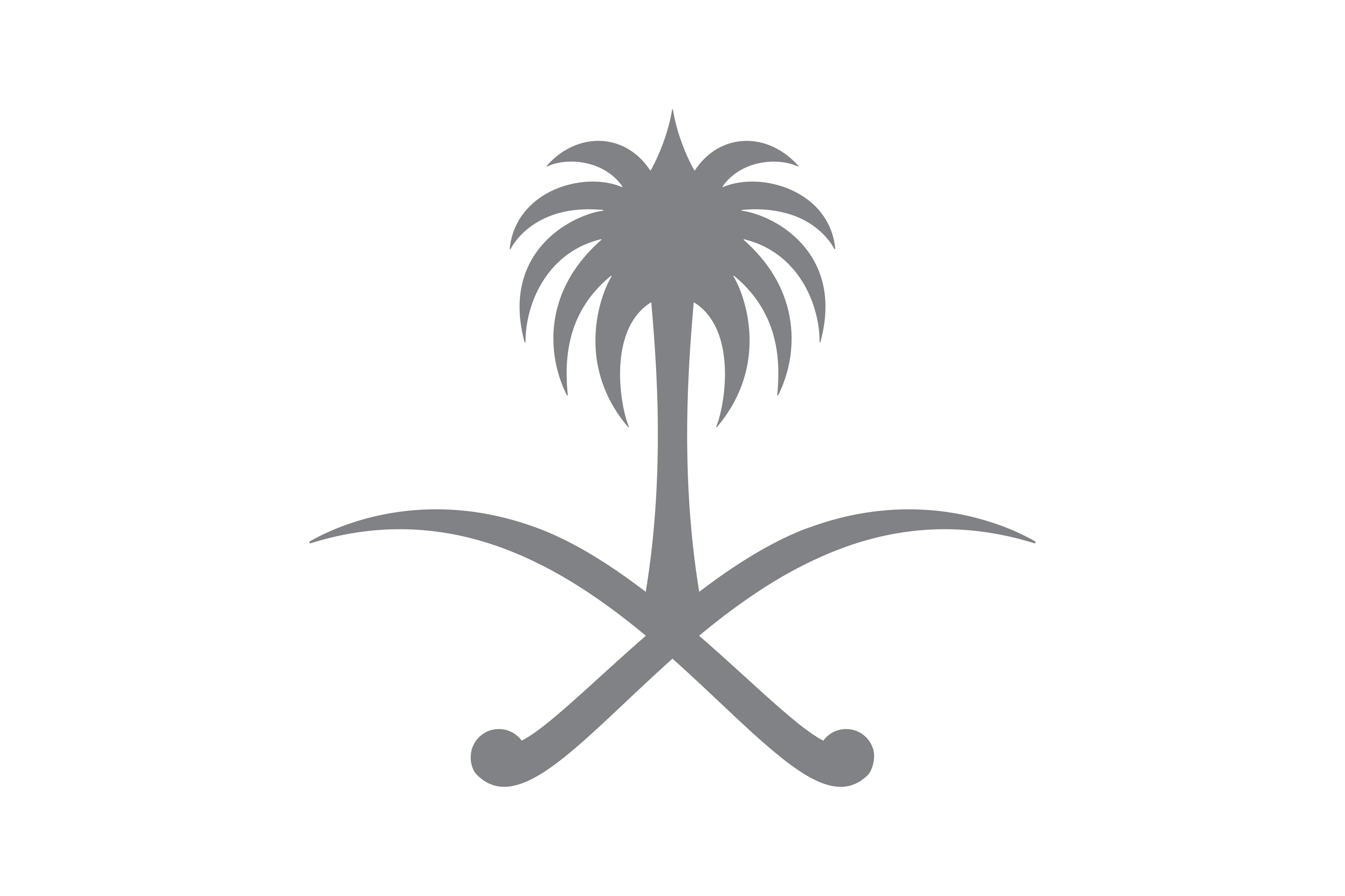 مجلس الوزراء: إلزام الجهات الحكومية بتوفير احتياجاتها من سيارات الإسعاف من "نوبكو"