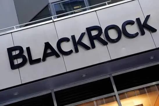 BlackRock Shares Gain $11 Billion in One Day