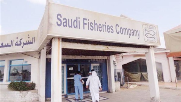 الشركة-السعودية-للأسماك