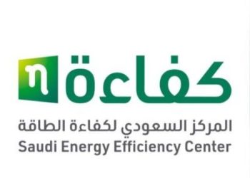 كفاءة الطاقة