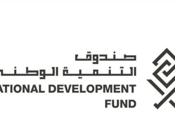 صندوق التنمية الوطني